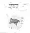 Fig. 08 - Measurements of an integrated circuit chip and connected chip carrier to estimate height of interconnect