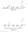 Fig. 11 - Optical module and method of making the same