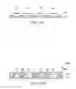 Fig. 20 - Optical module and method of making the same