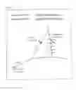 Fig. 08 - Automated location-intelligent traffic notification service systems and methods