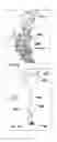 Fig. 13 - Navigation devices and methods carried out thereon