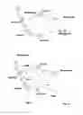 Fig. 14 - Navigation devices and methods carried out thereon