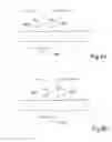 Fig. 08 - Method for dynamic linearisation of sensor signals from a magnetic strip length measuring system