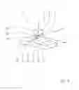 Fig. 04 - Shifting device of a vehicle transmission