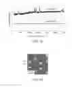 Fig. 08 - Raman spectroscopic apparatus, raman spectroscopic method, and electronic apparatus