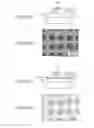 Fig. 11 - Raman spectroscopic apparatus, raman spectroscopic method, and electronic apparatus