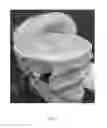 Fig. 04 - Full head surrogate with live neurons for helmet testing and evaluation