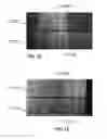 Fig. 10 - Prism-coupling systems and methods for characterizing ion-exchanged waveguides with large depth-of-layer