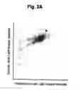 Fig. 03 - Flow cytometry for high throughput screening