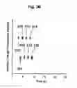 Fig. 06 - Flow cytometry for high throughput screening