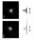 Fig. 08 - Chemical characterization of surface features