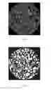 Fig. 04 - Method of analysing ground coffee
