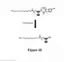 Fig. 10 - COMPETITIVE ENZYMATIC ASSAY