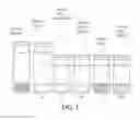 Fig. 02 - Detecting stannous ions