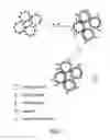 Fig. 03 - Probe and method for detecting metal ions and chemical/biochemical molecules