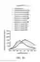 Fig. 16 - Probe and method for detecting metal ions and chemical/biochemical molecules