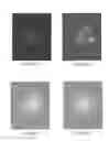 Fig. 33 - Systems and Methods Related to Optical Nanosensors Comprising Photoluminescent Nanostructures
