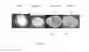 Fig. 16 - Test strips for visual differentiation of liquid mixture composition