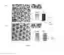 Fig. 18 - Test strips for visual differentiation of liquid mixture composition