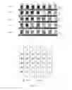 Fig. 20 - Test strips for visual differentiation of liquid mixture composition