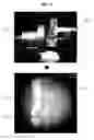 Fig. 11 - Microelectrode for measuring EMG of laboratory microfauna and method for manufacturing the same, and system for measuring EMG of laboratory microfauna using microelectrode