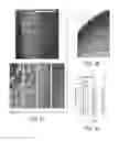 Fig. 06 - THREE-DIMENSIONAL TRANSGLUTAMINASE-CROSSLINKED HYDROGEL FOR TUMOR ENGINEERING