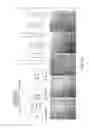 Fig. 13 - THREE-DIMENSIONAL TRANSGLUTAMINASE-CROSSLINKED HYDROGEL FOR TUMOR ENGINEERING