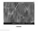 Fig. 10 - Electrical cell-substrate impedance sensor (ECIS)