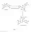 Fig. 06 - RGD-BINDING COMPOUNDS AND METHODS OF USE