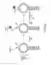 Fig. 03 - TOXIN ACTIVITY ASSAYS, DEVICES, METHODS AND SYSTEMS THEREFOR
