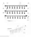 Fig. 04 - Multiplex assay strip, beads, device and method