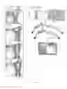 Fig. 02 - Human antibodies and uses therefor