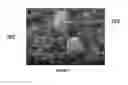 Fig. 11 - Electrical cell-substrate impedance sensor (ECIS)