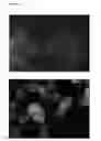 Fig. 17 - Method for predicting cancer sensitivity