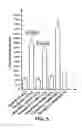 Fig. 06 - Human cellular models with biosensors