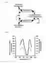 Fig. 02 - DETECTION OF ALPHA, BETA-DICARBONYL COMPOUNDS WITH FLUOROGENIC PROBES