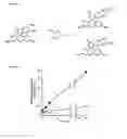Fig. 03 - DETECTION OF ALPHA, BETA-DICARBONYL COMPOUNDS WITH FLUOROGENIC PROBES