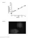 Fig. 04 - DETECTION OF ALPHA, BETA-DICARBONYL COMPOUNDS WITH FLUOROGENIC PROBES