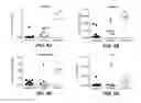 Fig. 07 - METHODS FOR DIAGNOSING AND TREATING INFLAMMATORY BOWEL DISEASE