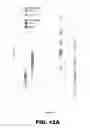 Fig. 21 - METHODS FOR DETECTING AMYLOID BETA AMYLOIDOSIS