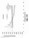 Fig. 35 - METHODS FOR DETECTING AMYLOID BETA AMYLOIDOSIS