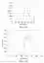 Fig. 12 - Lanthanum-yttrium oxide scintillators and use thereof