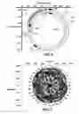 Fig. 05 - Multi-vessel coil shooting acquisition
