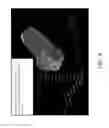 Fig. 07 - Harmonized intelligent modeler