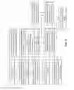 Fig. 04 - Scalable scheduling of parallel iterative seismic jobs
