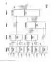 Fig. 03 - Broadband waveguide based optical coupler