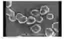 Fig. 01 - Electrostatic image developing toner