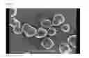 Fig. 02 - Electrostatic image developing toner