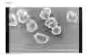 Fig. 04 - Electrostatic image developing toner