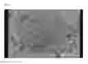 Fig. 05 - Electrostatic image developing toner